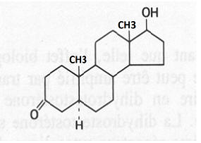 Dihydrotestosterone